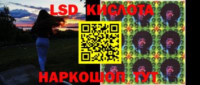 a pvp Брянск