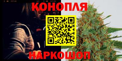 a pvp Брянск