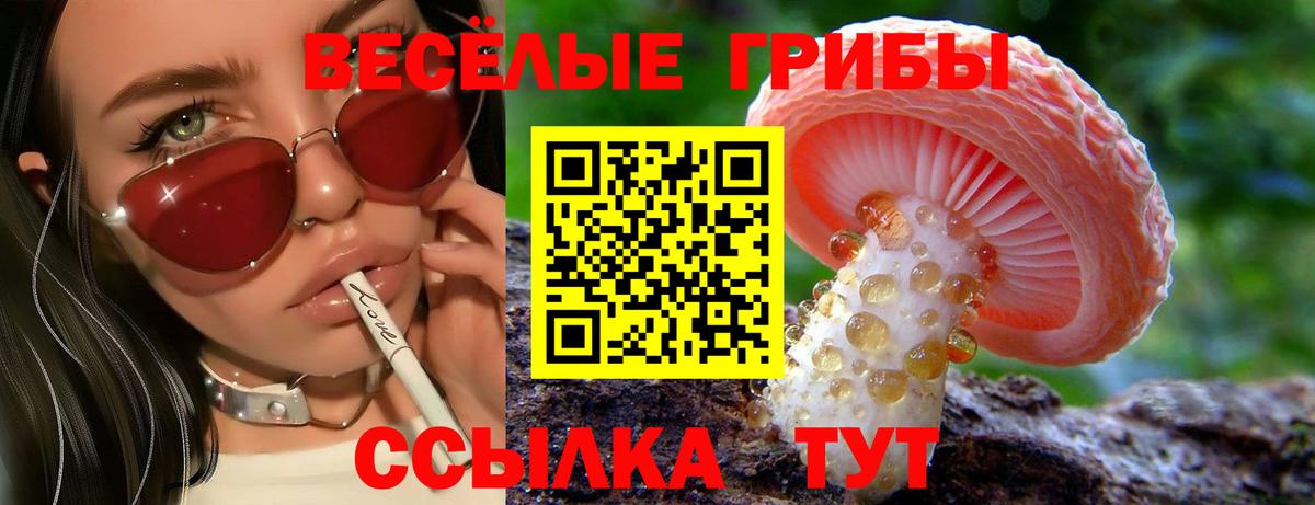 Галлюциногенные грибы GOLDEN TEACHER  Вход с VPN  Жигулёвск 